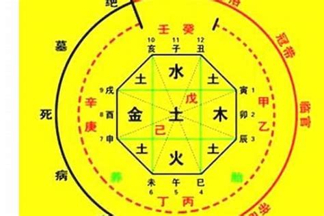 八字算五行|生辰八字算命、五行喜用神查詢（免費測算）